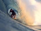 surf
