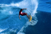 surf