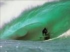 surf
