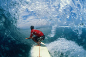 surf