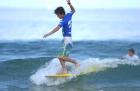 surf